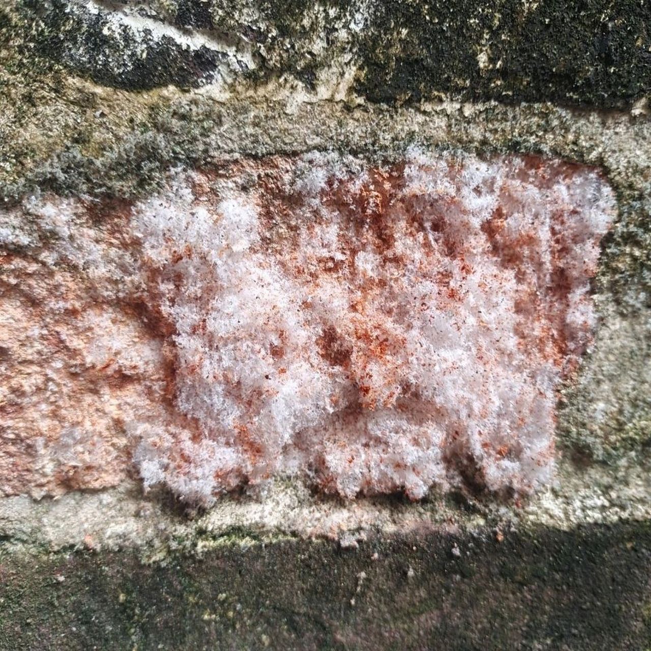 硝石的主要成分是硝酸钾,硝酸钠,古人一般从盐湖,盐碱化土壤,溶洞沉积