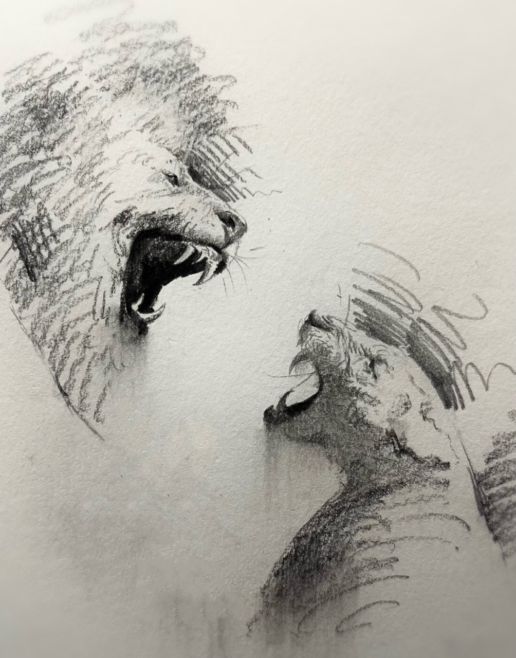 看似简单而又平静的狮子.静