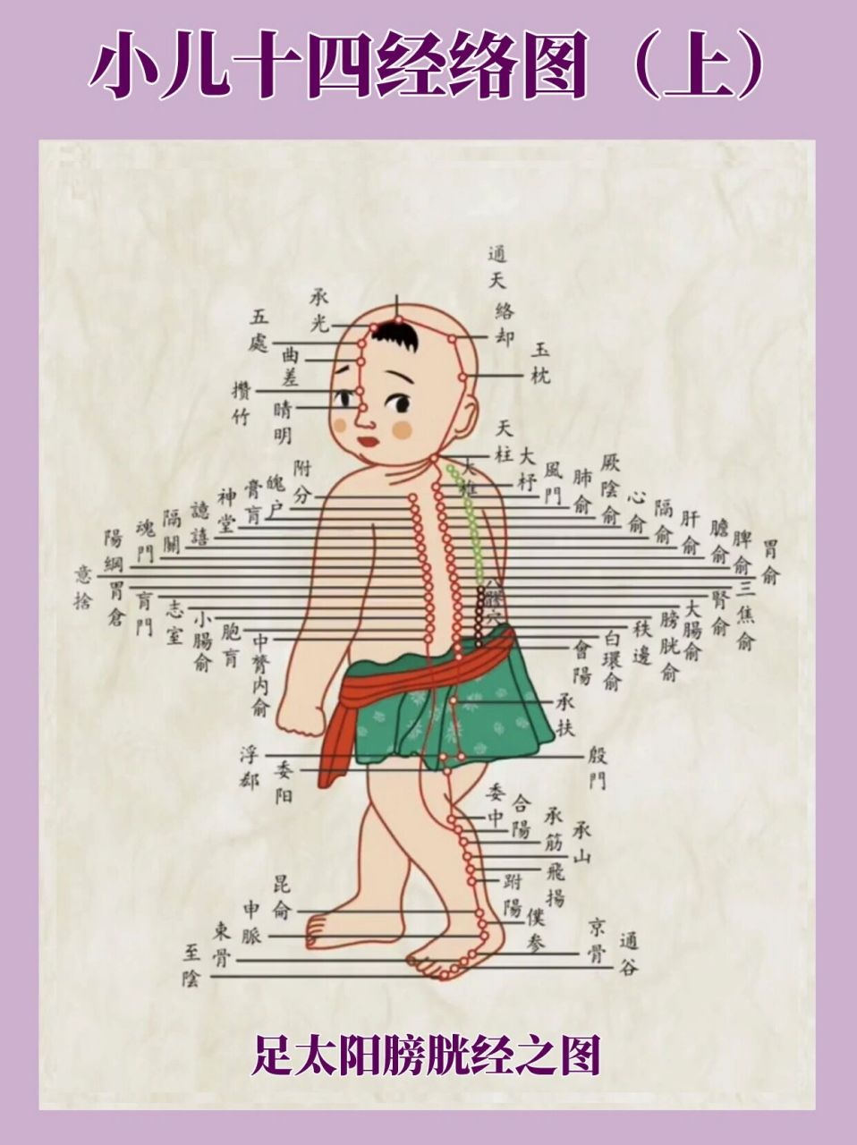 小儿推拿常用十四经络穴位图(上)