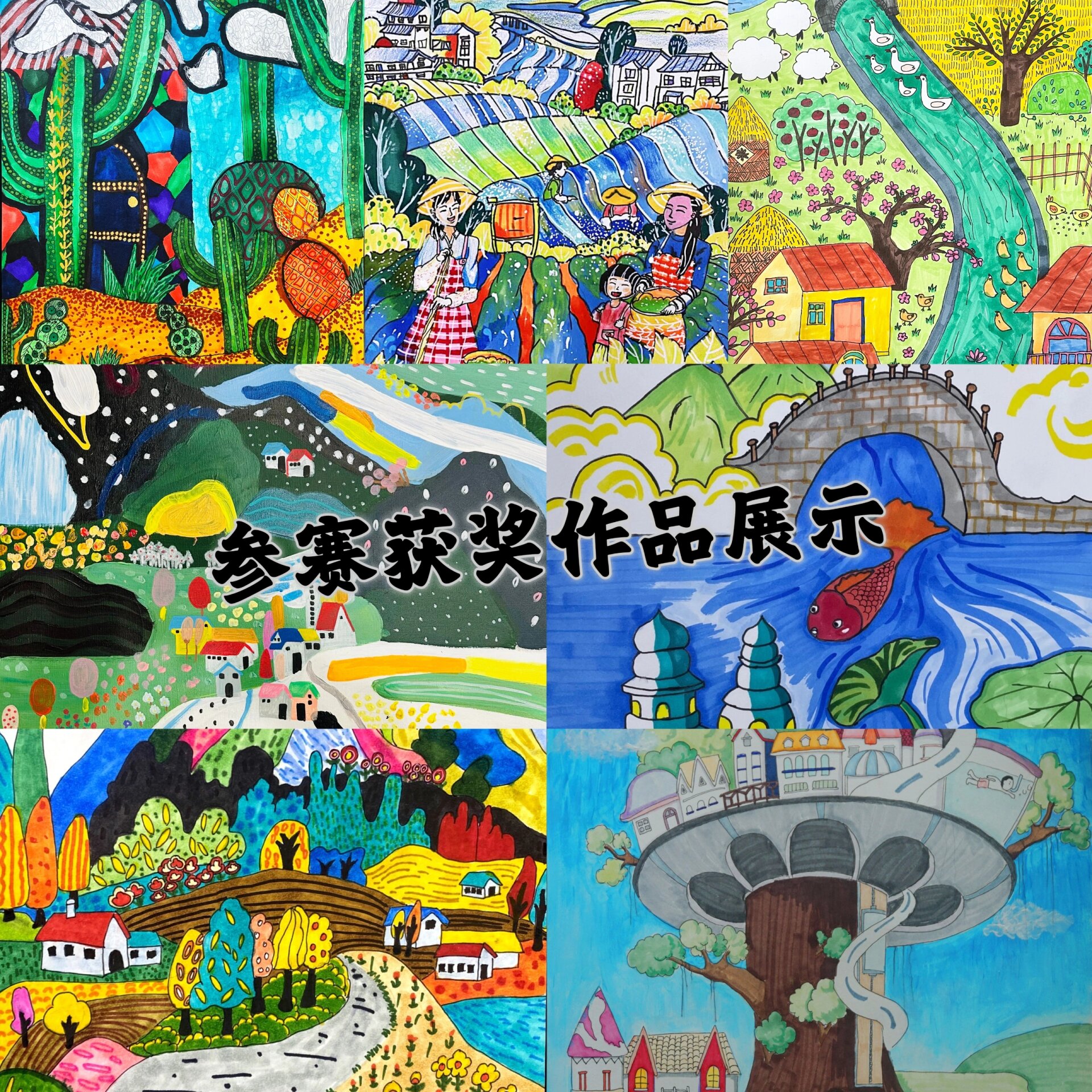 《美好家园》参赛获奖作品展示