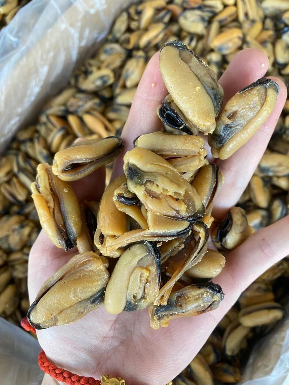 特大淡菜太漂亮了