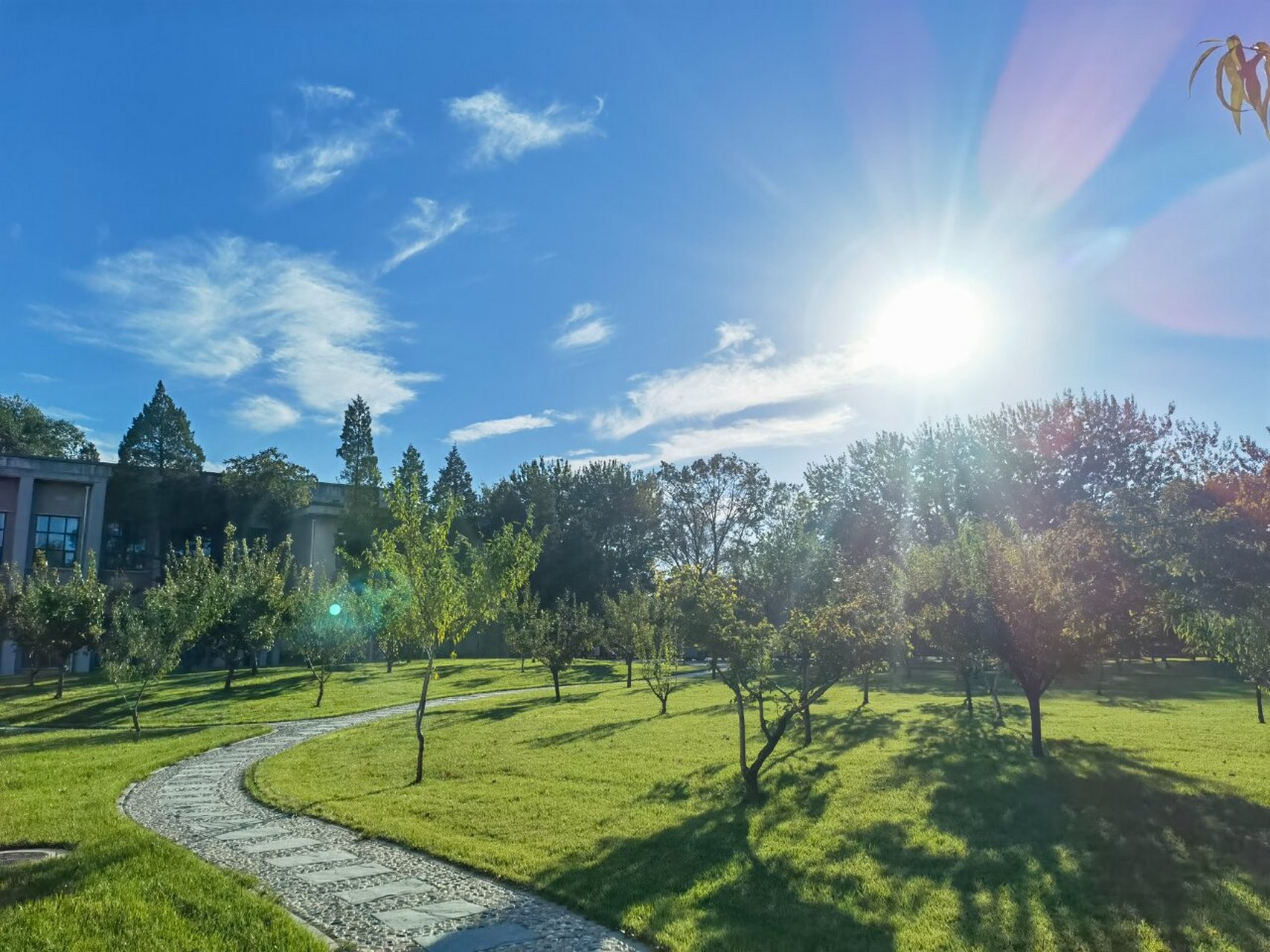 关于北大(昌平校区) 很多学生关心北大昌平校区是怎么样的?
