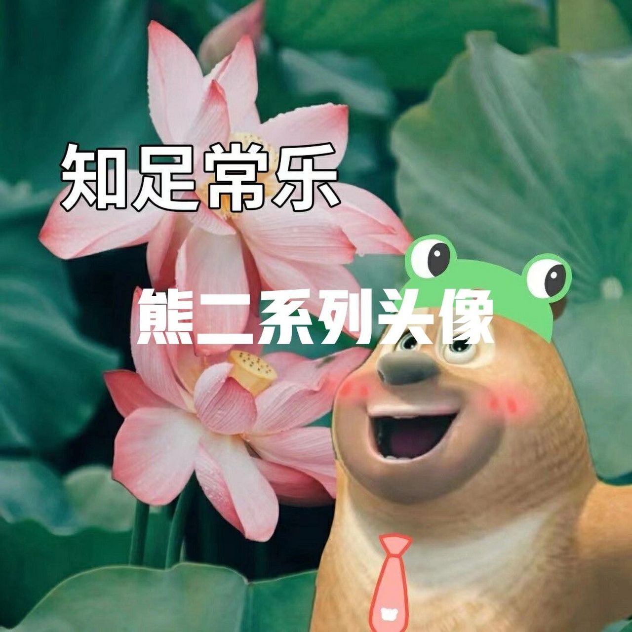 熊二系列头像 你确定不要这么可爱的熊二头像吗?快来和闺蜜一起换上吧