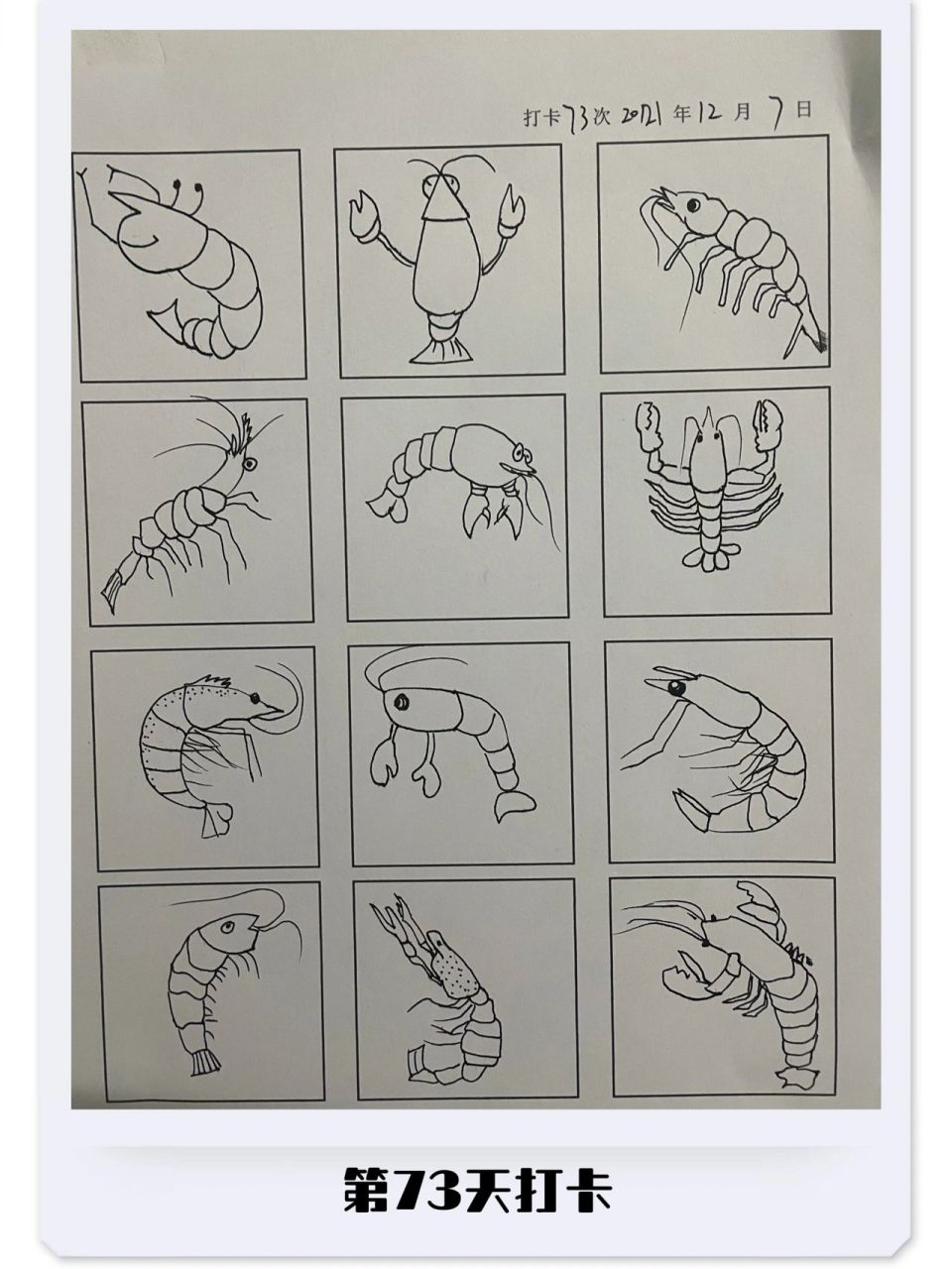 第73/100天打卡,简笔画临摹一组虾 虾(shrimp),是一种生活在水中的