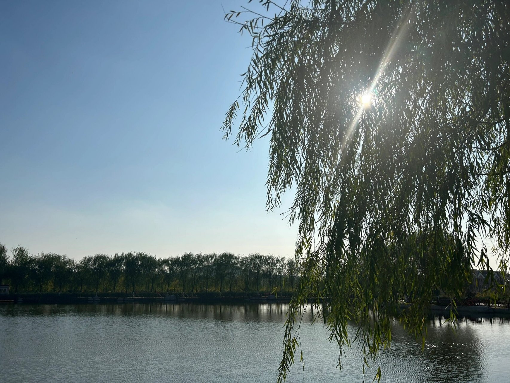 淄博·花山公园 10月14日下午的淄博花山公园 天气晴朗,风和日丽 吹着