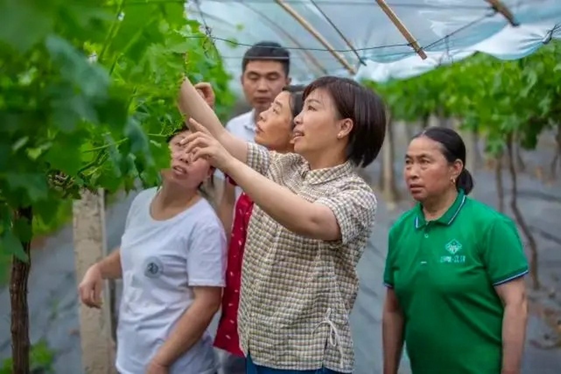 大家好,我是刘老师,接着上期我们继续讲解农业经理人证书的相关知识
