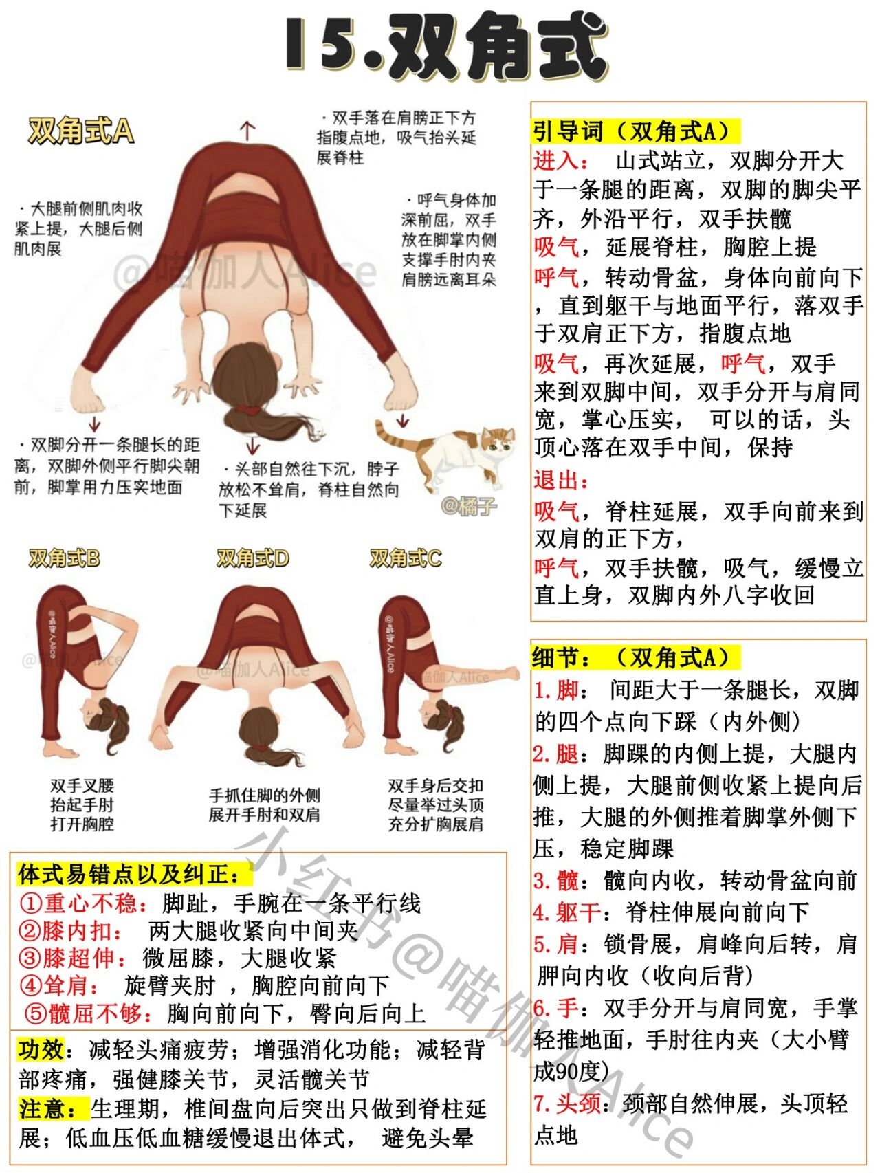 双角式abcd97瑜伽教培体式精讲|辅助手法