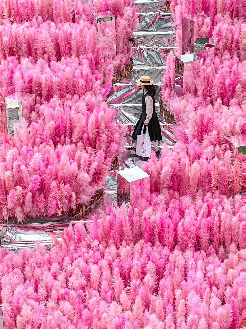 在万象城发现一大片粉色芦苇花海!