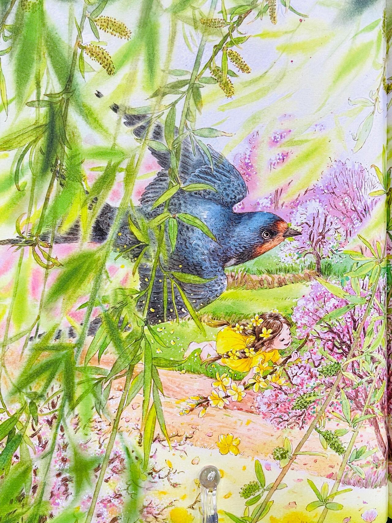 绘本《迎春花开了