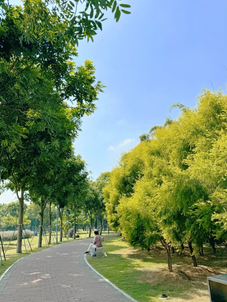 北郊公园|秋日生态环境99野餐地 在汕头市区内隐藏着