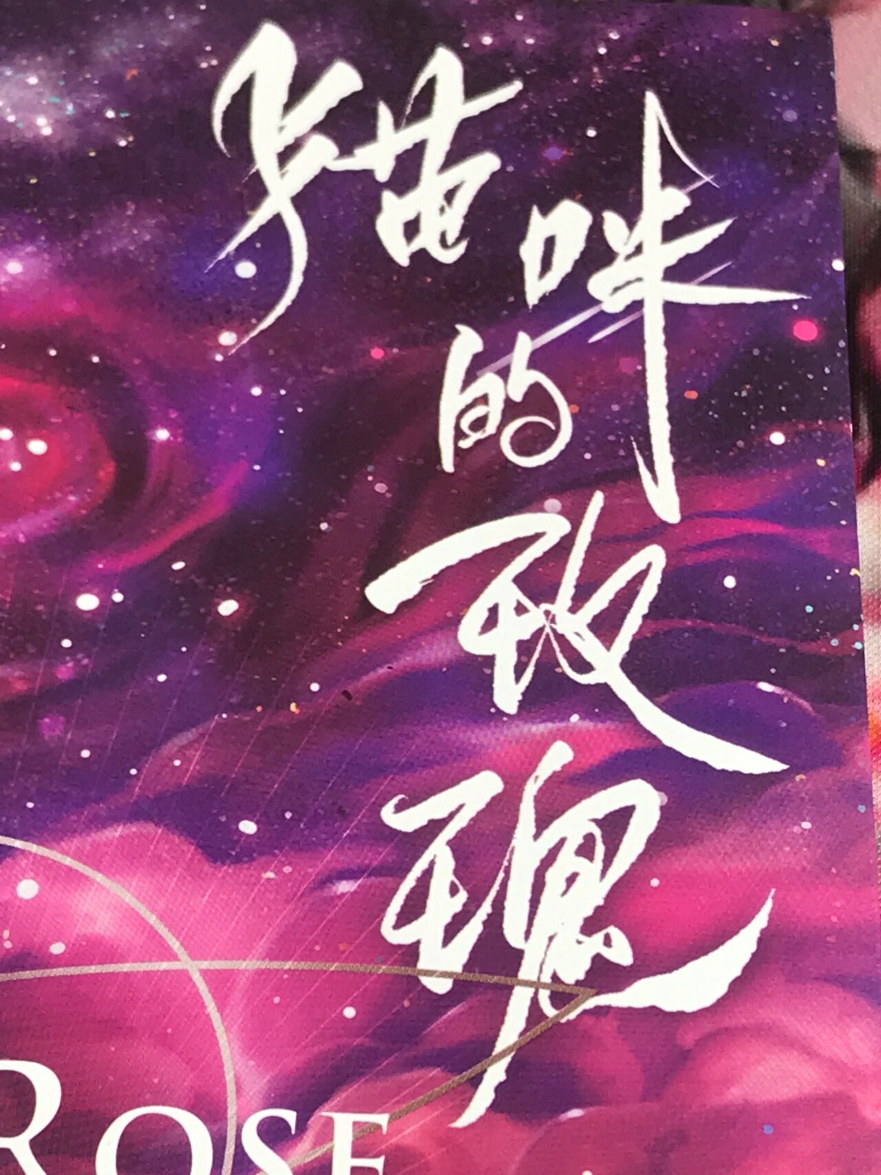 "我还是希望,你们的灵魂都能返回故乡" 《猫咪的玫瑰》-一十四洲 cat