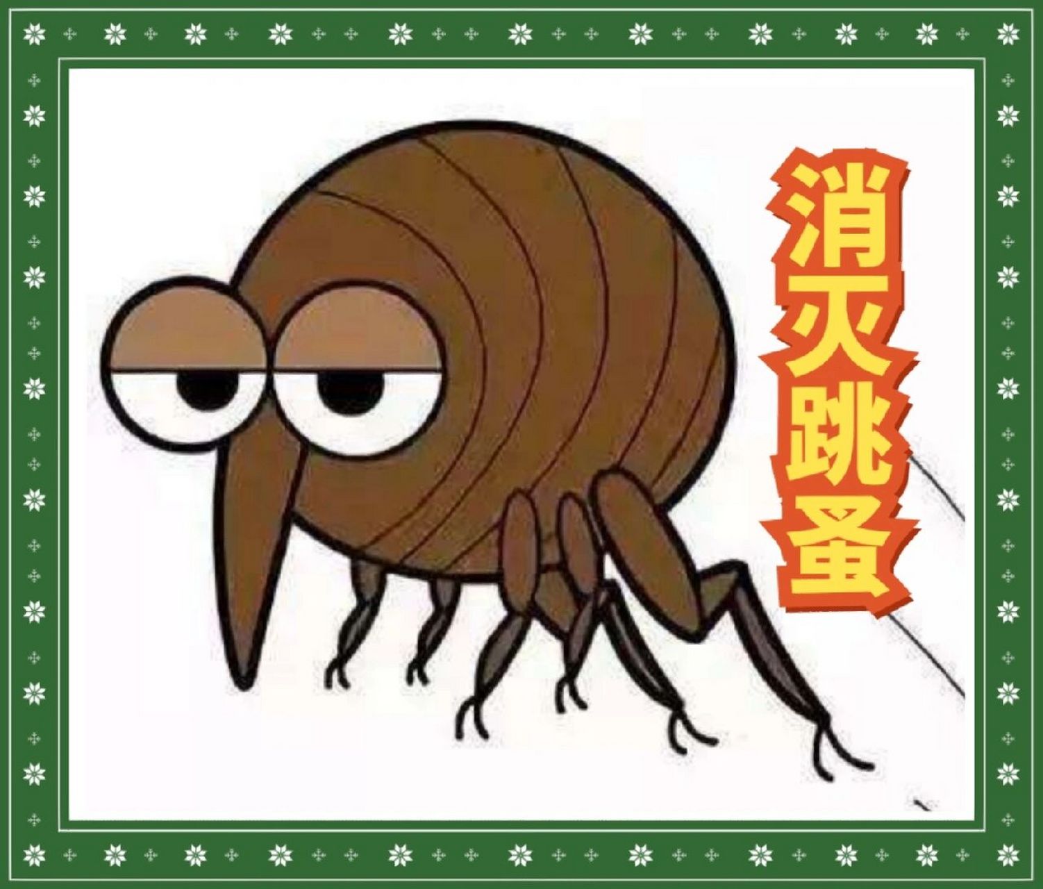 1,注意个人卫生:若是生长跳蚤,则可能说明房间环境过于潮湿,个人卫生