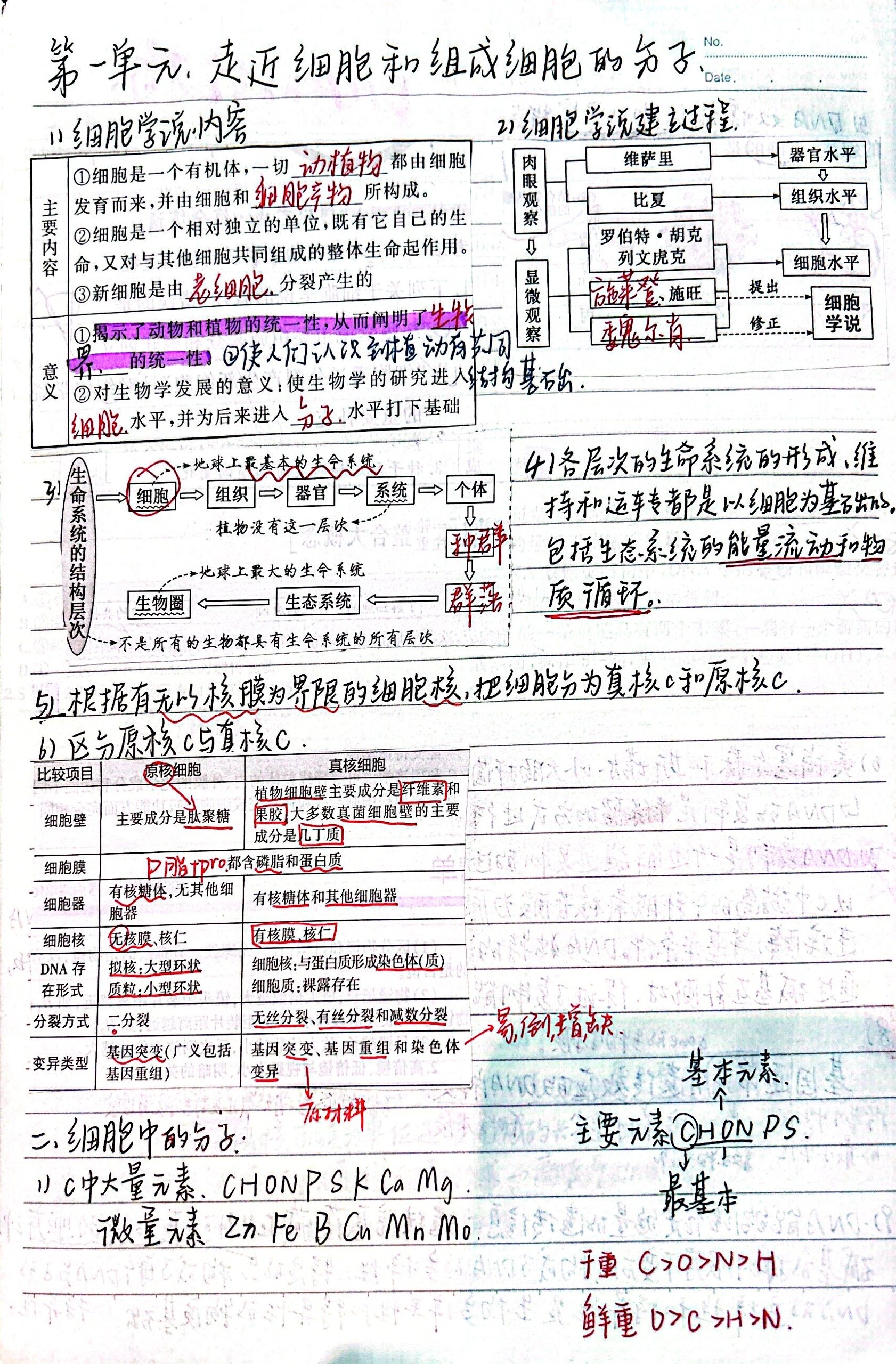 高中生物笔记整理手抄图片