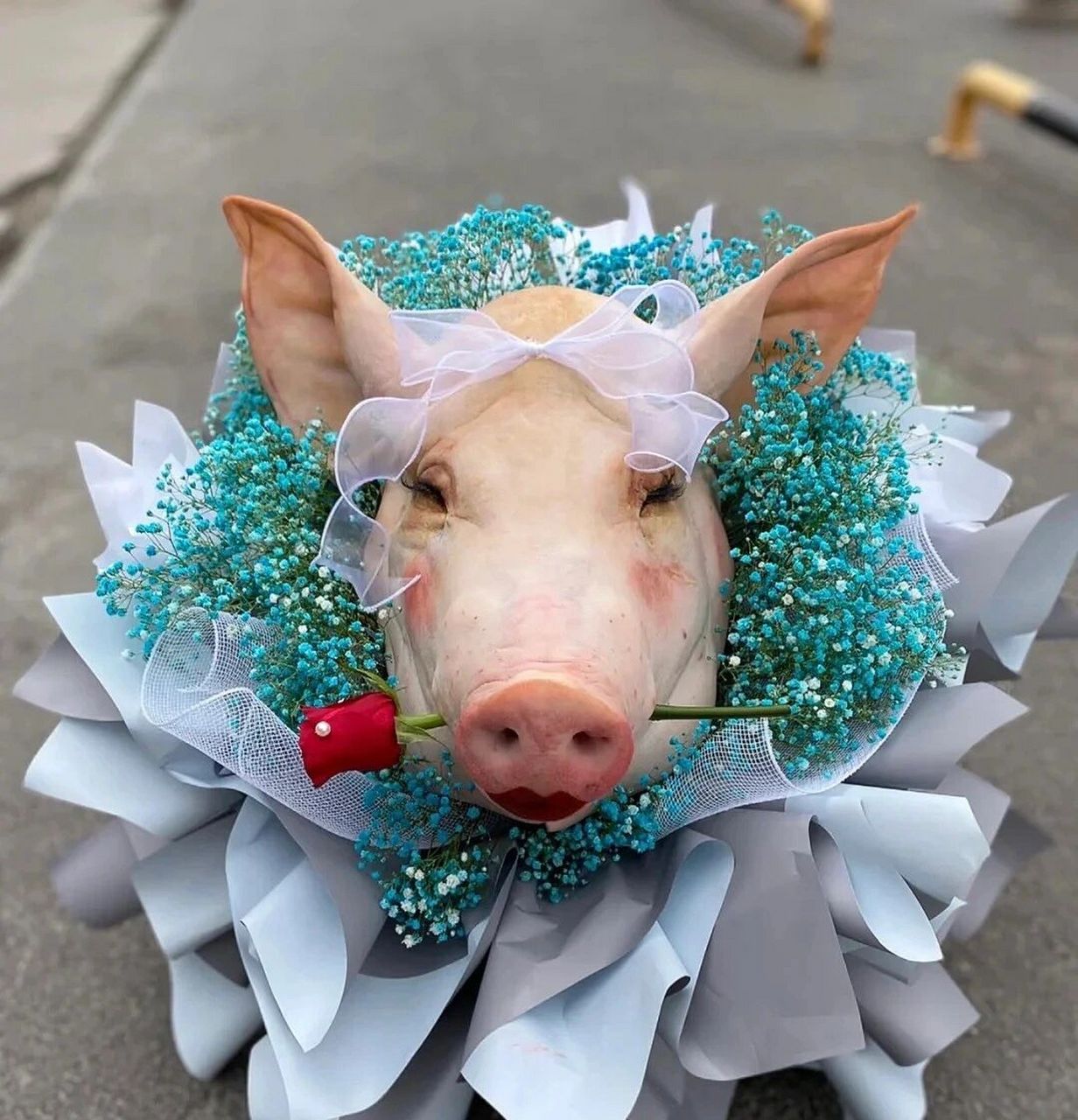 恶搞礼物花束 马上入冬了,快艾特你们的怨种对象来看98