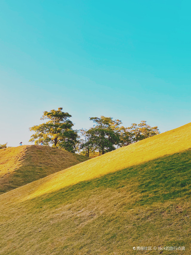 打卡宫崎骏漫画里的小山坡