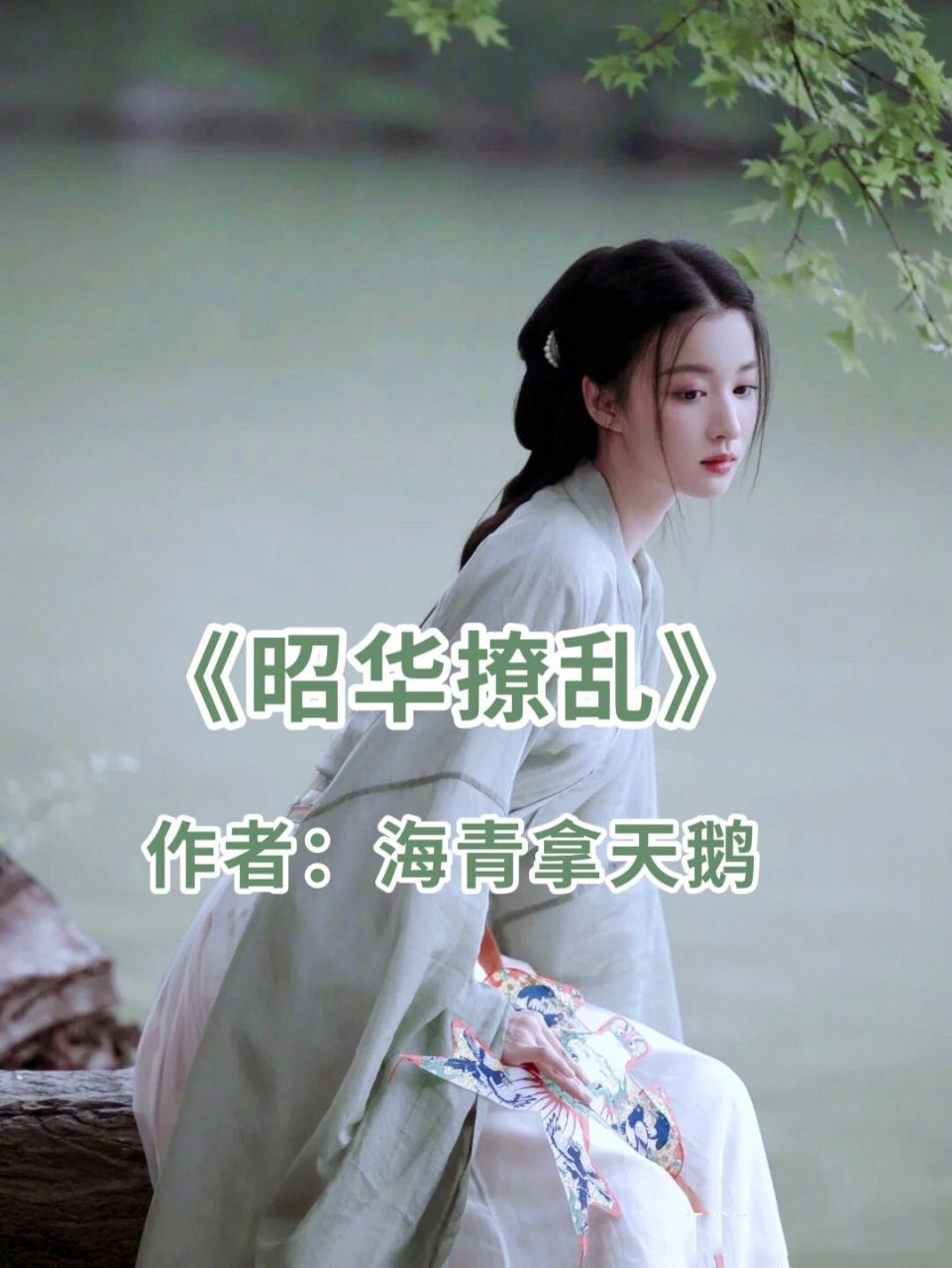 高质量古言小说(201) 《昭华撩乱》简介:一面池水,两个世界.