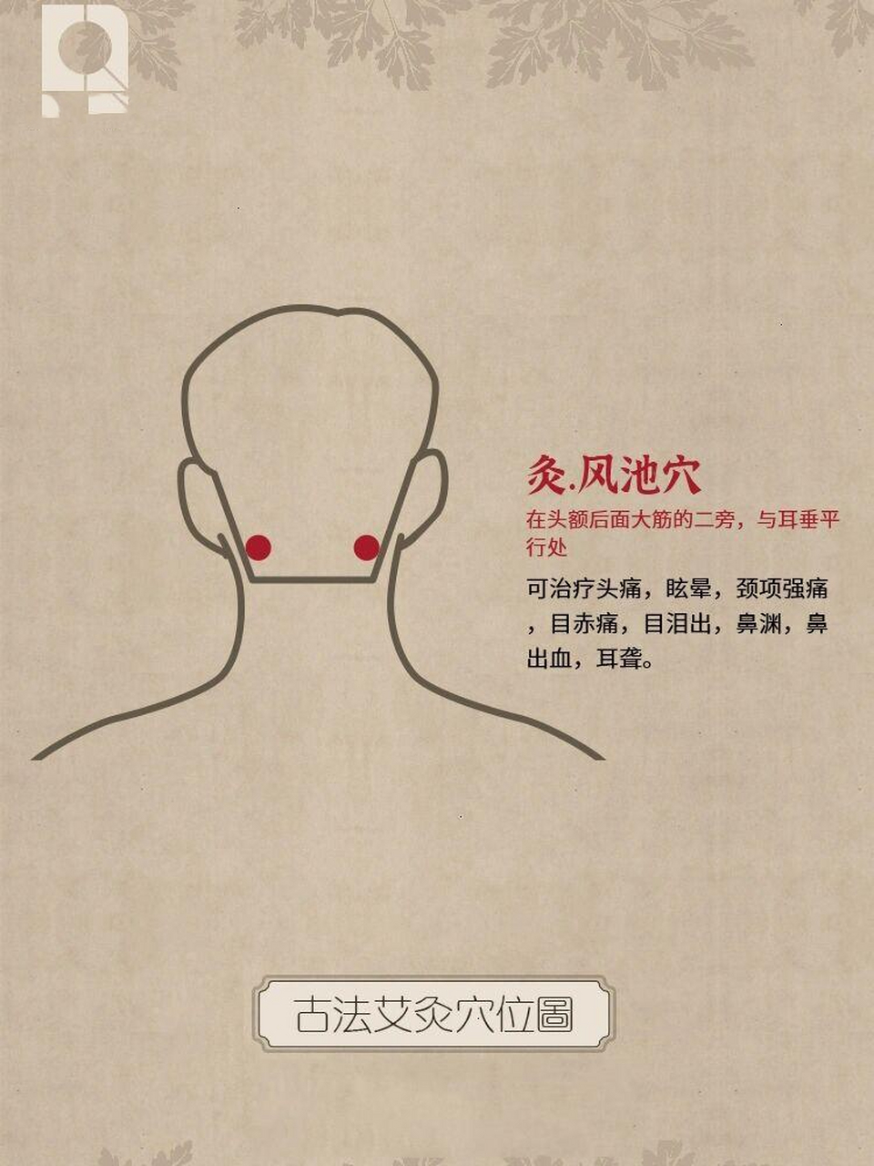 健康养生 认穴识灸 | 风池穴 穴位释义 风池穴属足少阳胆经,也是胆经