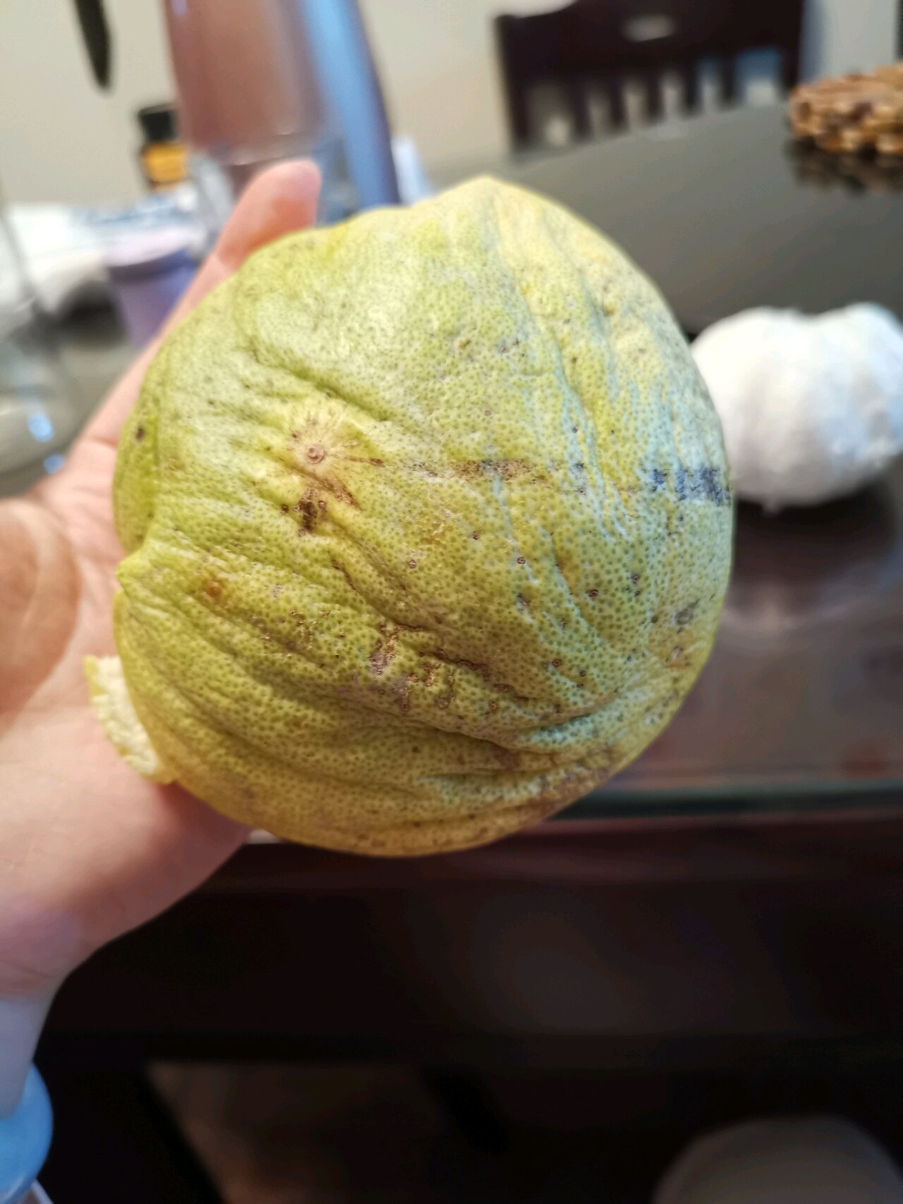 求解柚子品种,长得丑但太好吃了!