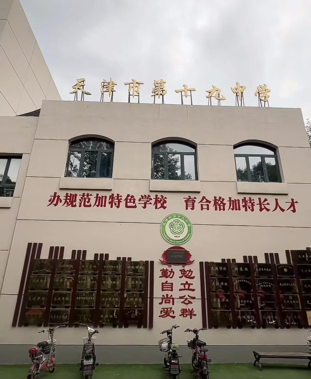 天津市第十九中学校徽图片