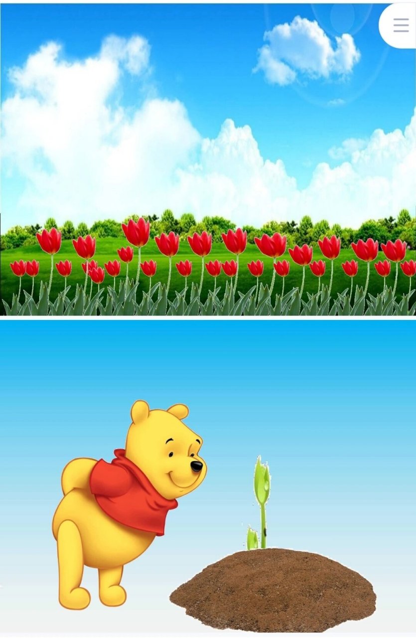 幼儿园小班语言游戏《熊宝宝的小芽芽》 小班语言游戏活动:《熊宝宝的