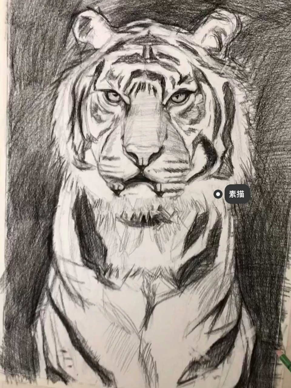 炭笔母老虎,这样画的老虎能考上美院吗 炭笔老虎 尺寸:比4k大点 @96
