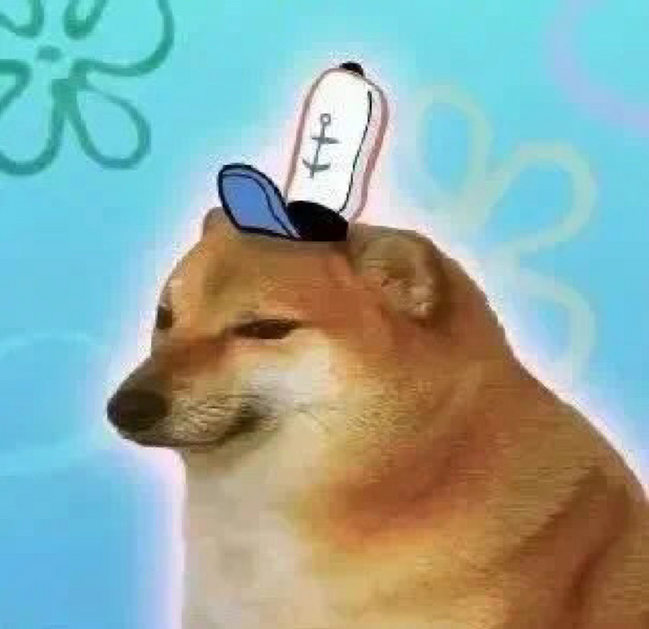 搞笑搞怪头像表情包 让我看看这么一波可爱沙雕的表情包头像谁不爱呢