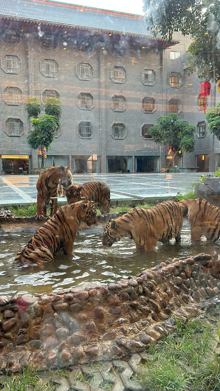 平南雄森动物大世界990098 国庆旅游平南雄森动物园,性价比高