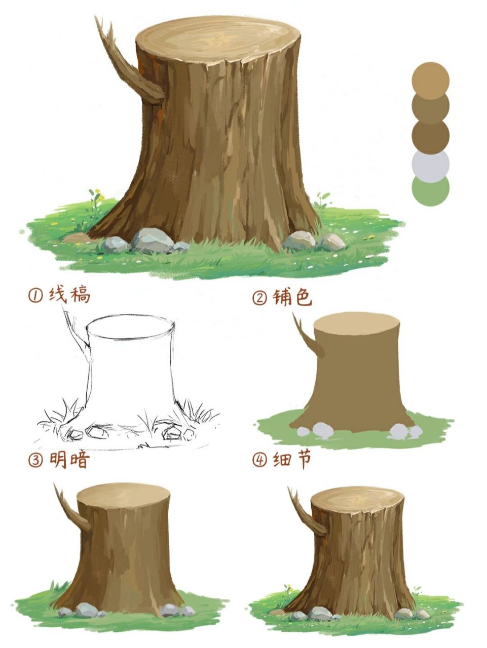 简单易上手的绘画教程|树桩(带笔刷) 今天我们来画草地上的树桩