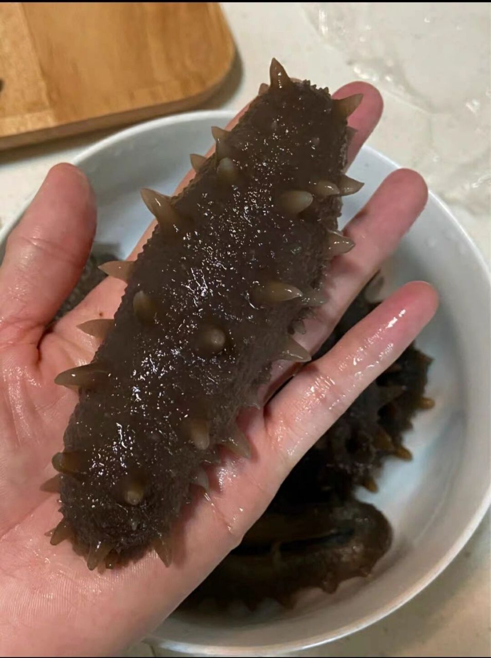 鲜海参捞上来不易储存,既不能冷冻,也不能常温存放,操作不当即会融化