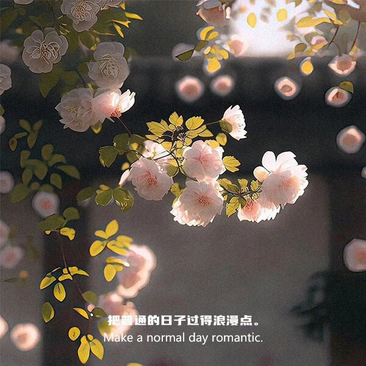 朋友圈文字背景图|温柔治愈系 1,怎样都行,别不快乐.