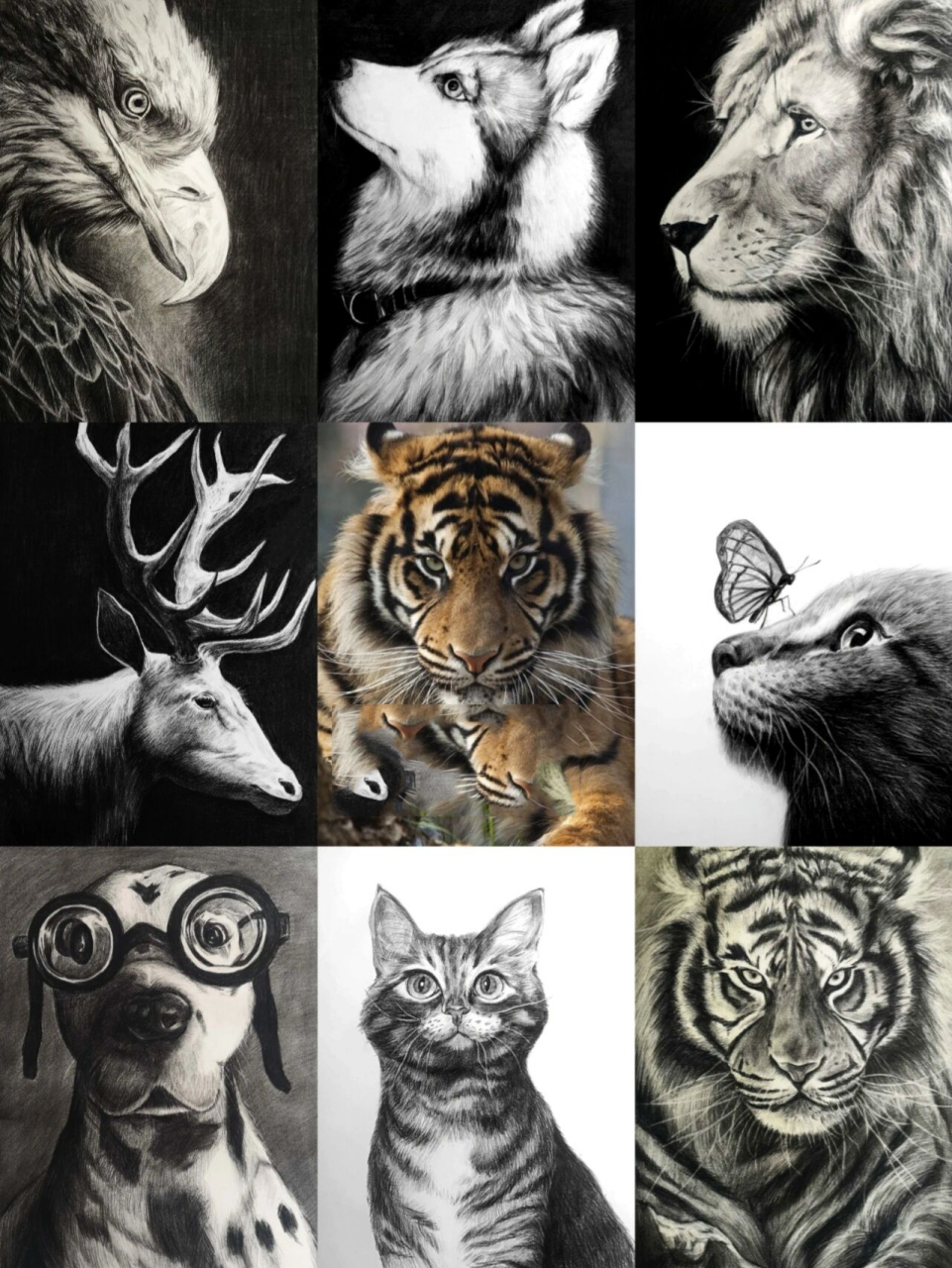 精微素描动物合集 这些发的都有步骤图,全部4k绘画,还想看画什么 我们