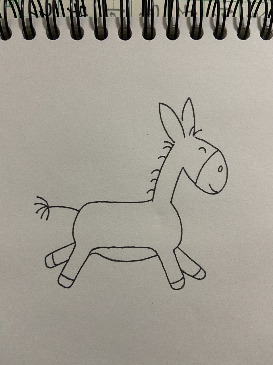 驴 儿童简笔画 手绘