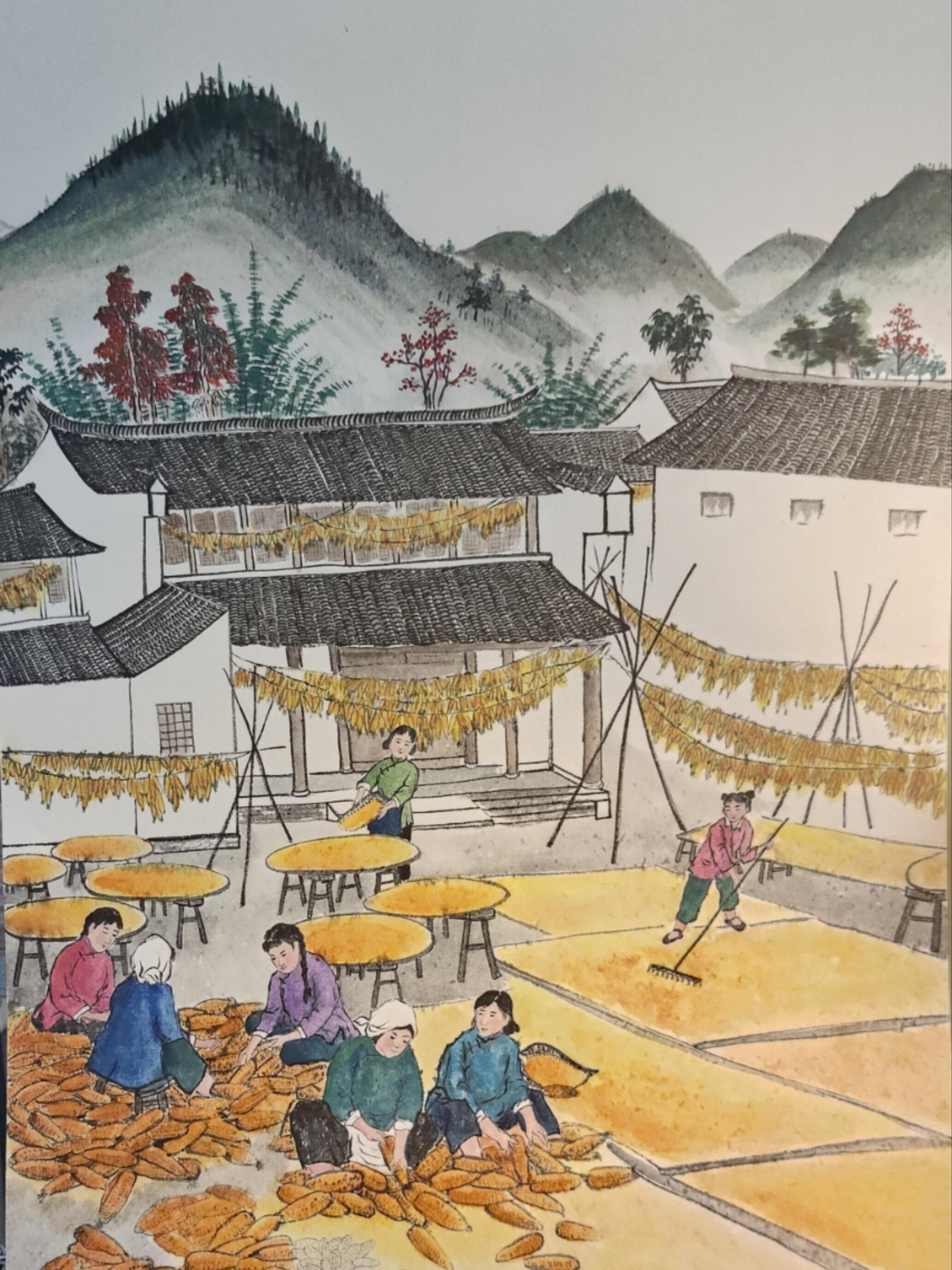 国画《玉米丰收图》尺寸65.45cm步骤图