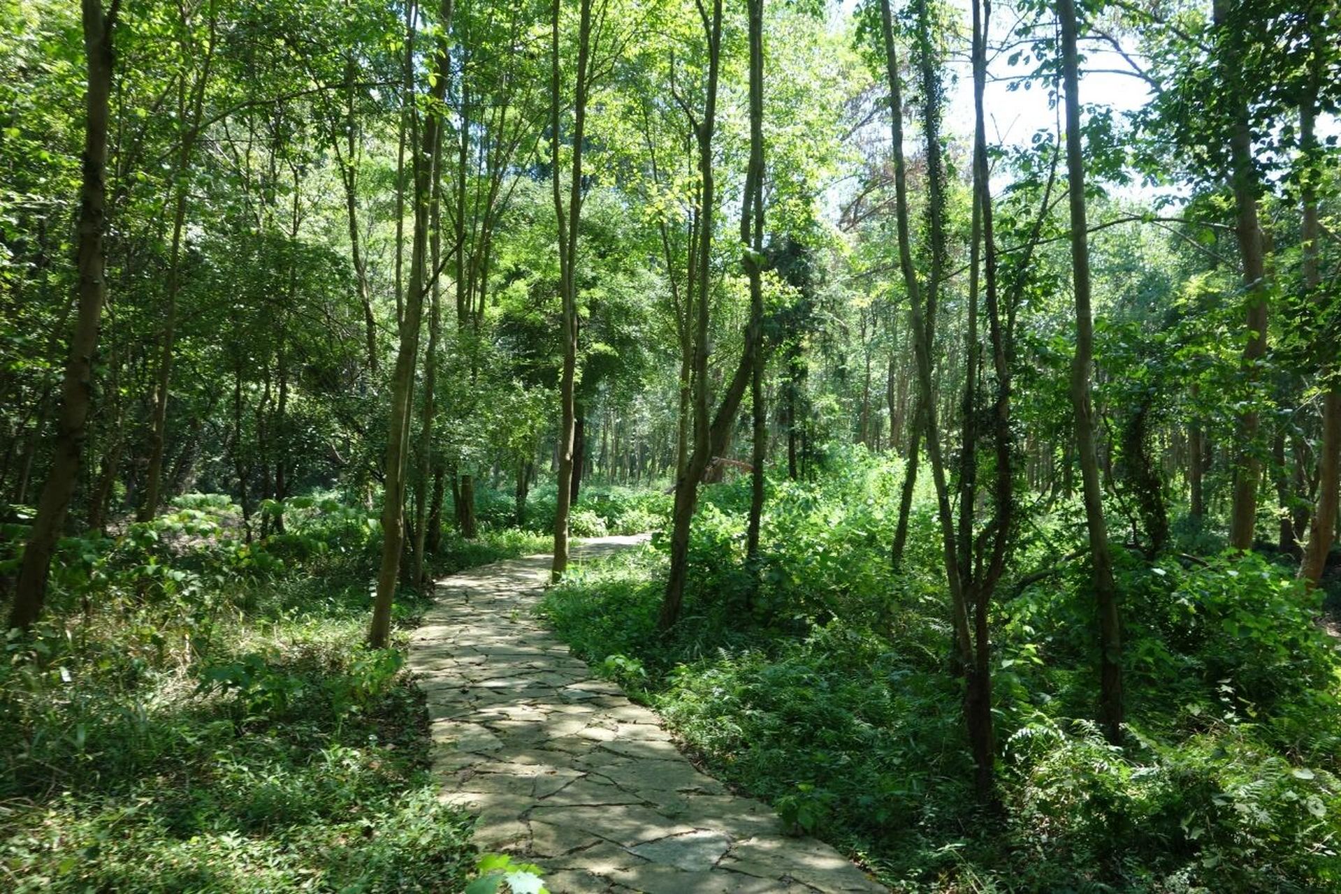 湖北荆门王莽洞! 王莽洞景区地处京山市西南部,是太子山国家森林公园