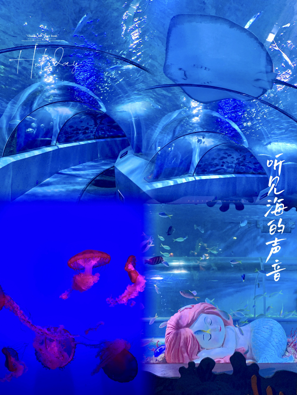 南京|穿越听见"你的声音"0469♀15超美 - 情侣约会必打卡的海洋