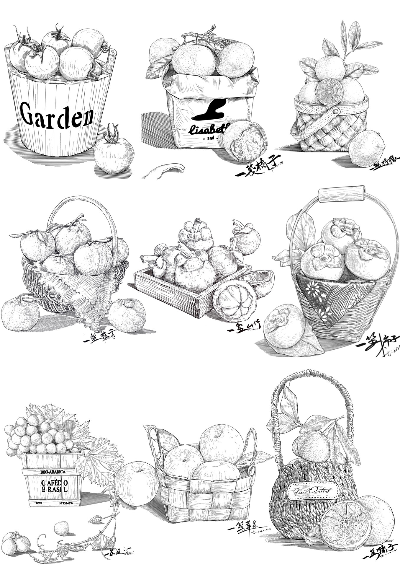 水果写生合集3:线描速写素材分享