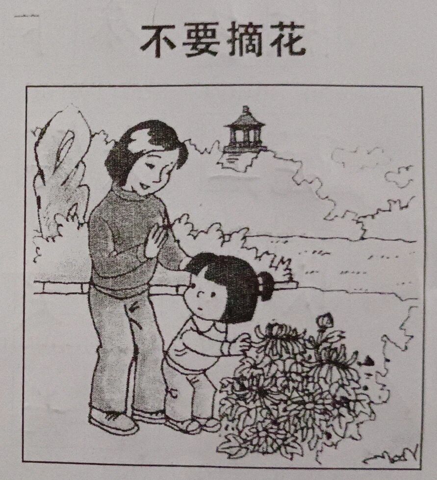 不要摘花看图写话图片