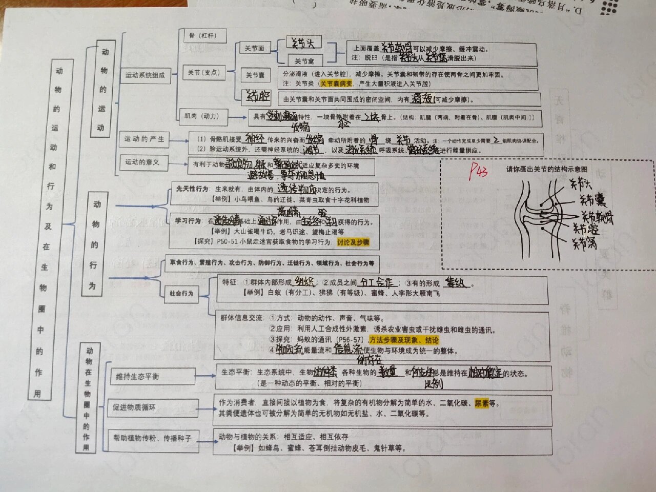 八年级上册生物第2章思维导图96