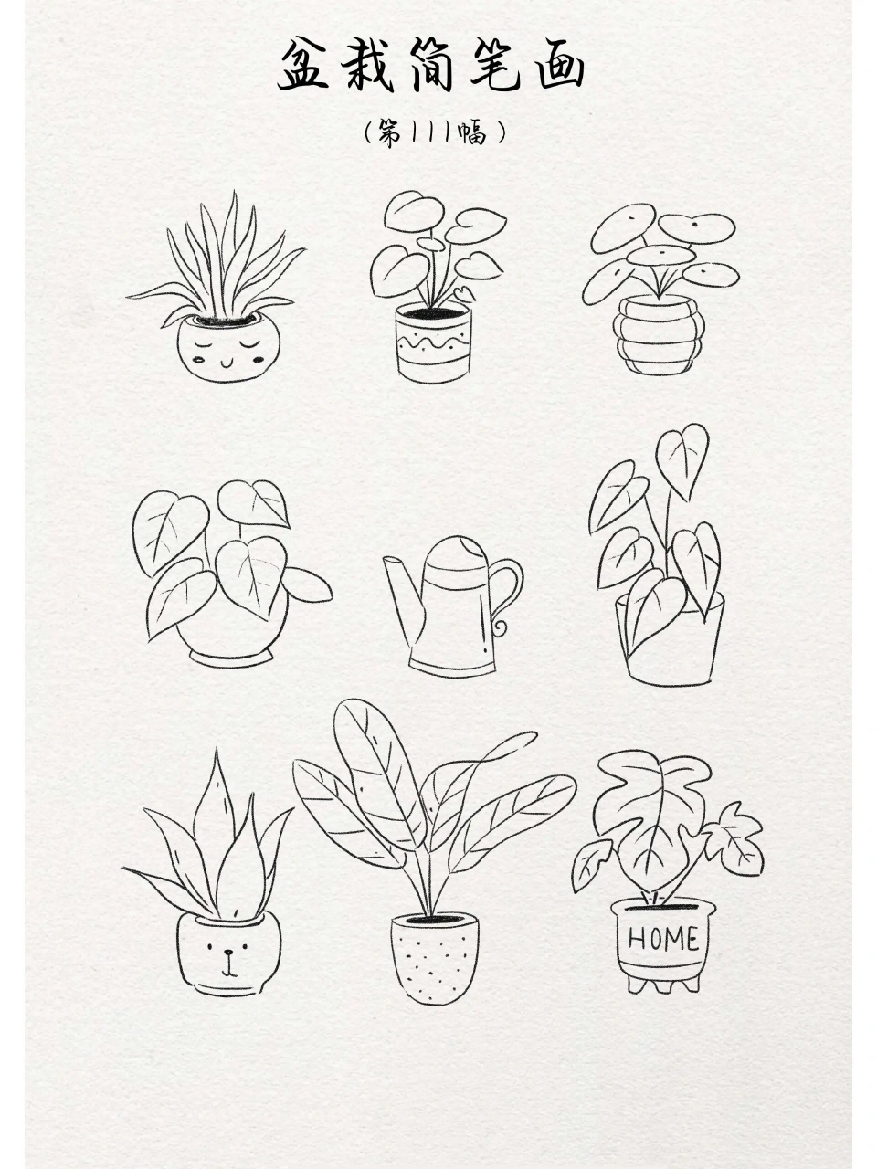 盆栽植物简笔画|第111幅 盆栽简笔画第111幅