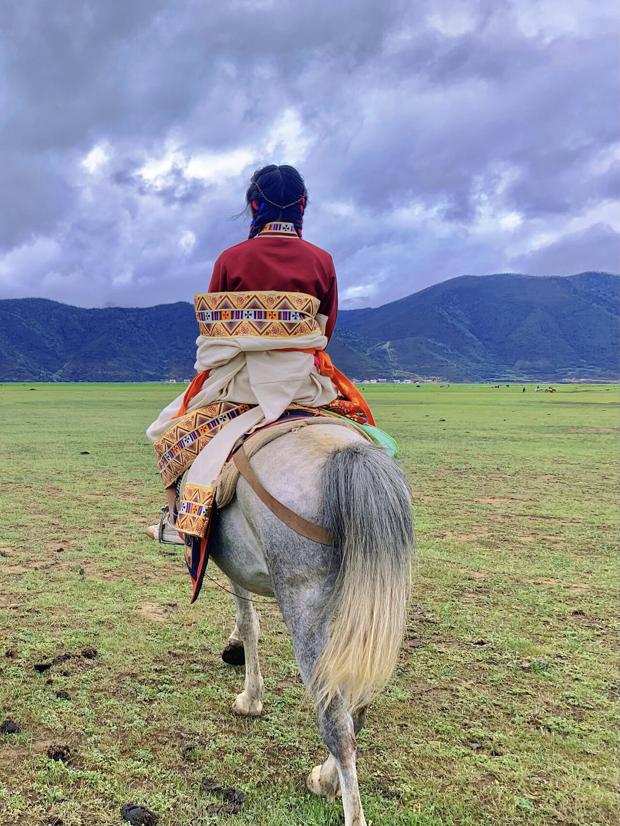香格里拉 | 去纳帕海依拉草原吸绵羊骑马儿 94关于路线: 想感受纳帕