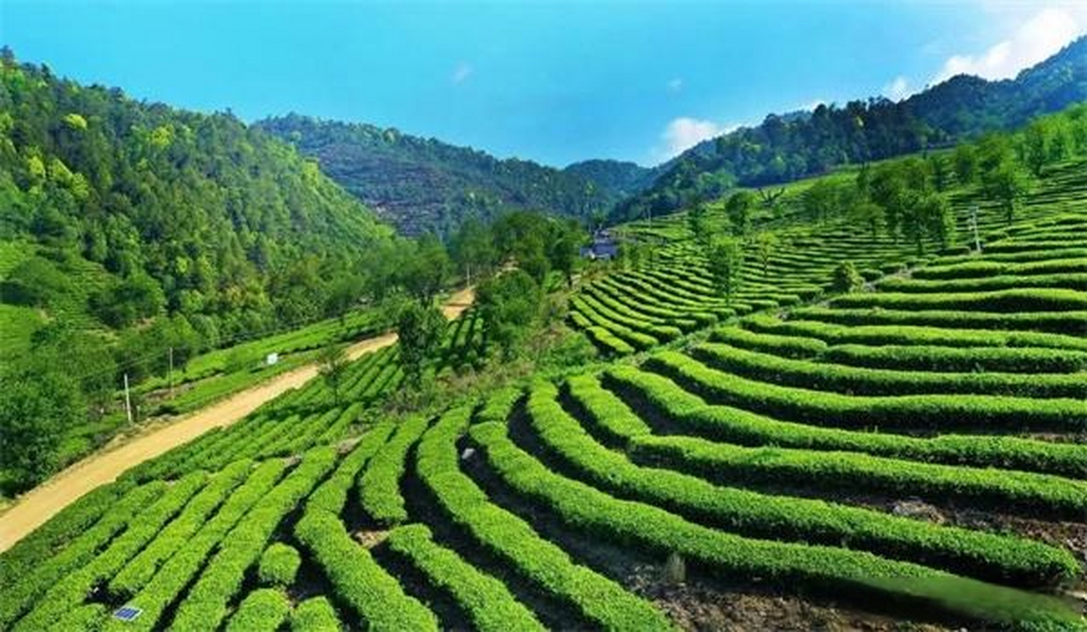 02云南永平县"离天空最近的茶园"国家aaa级旅游景区位于永平县龙门