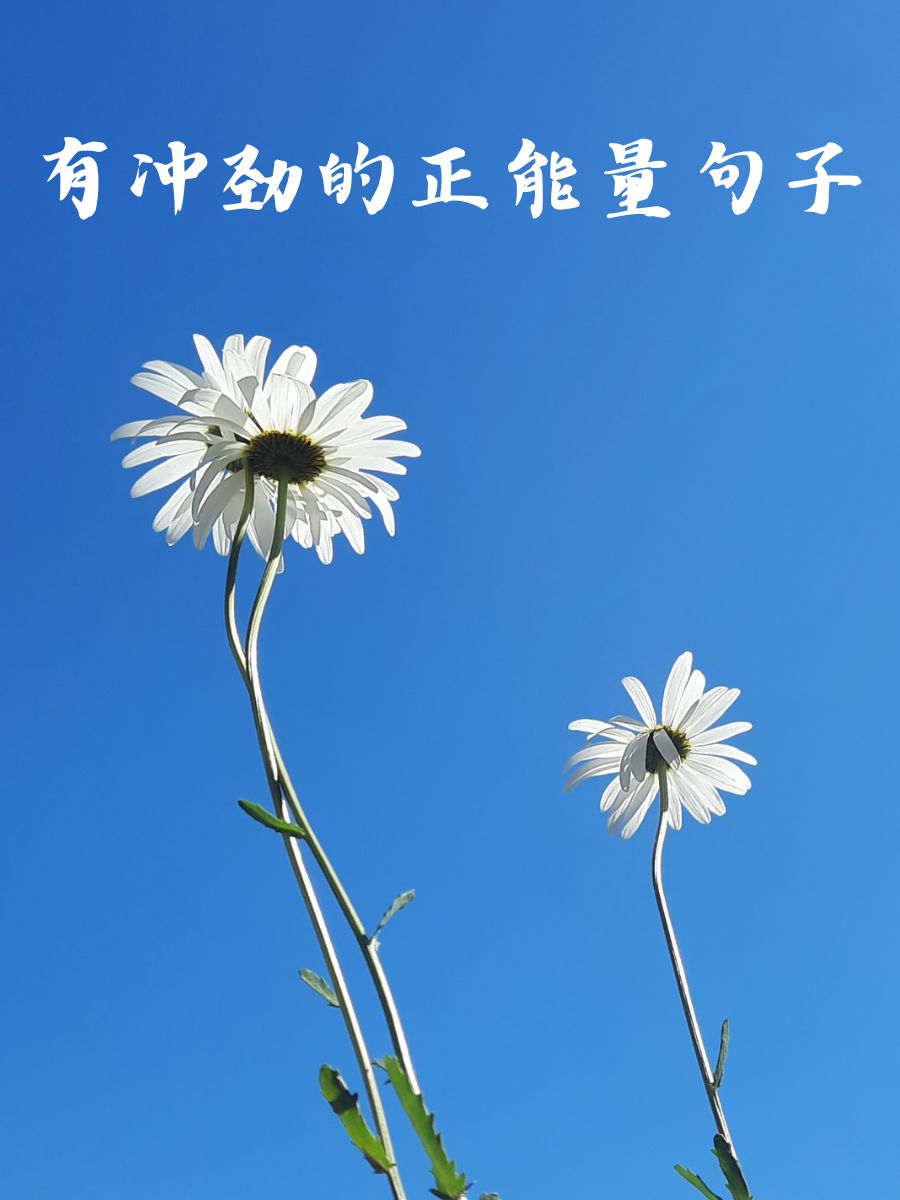 有冲劲的正能量句子