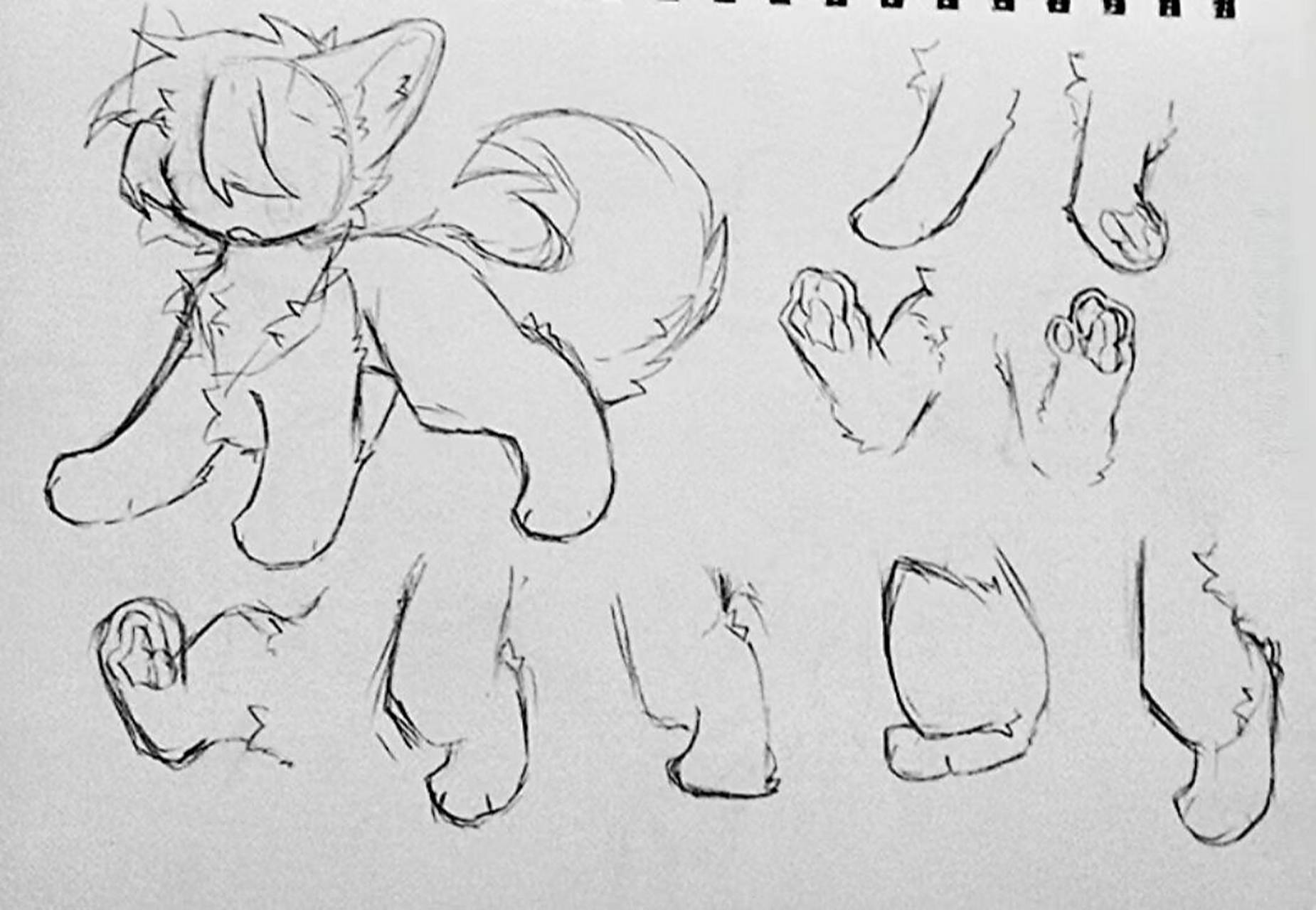 兽设素材第一弹 摸鱼——画爽了,流量好画第二弹(?