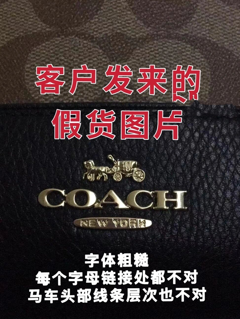 coach标志logo马车真假图片