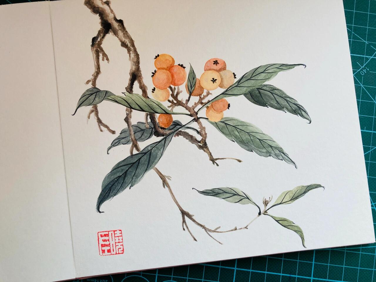 有彩虹照耀的古风水彩 枇杷