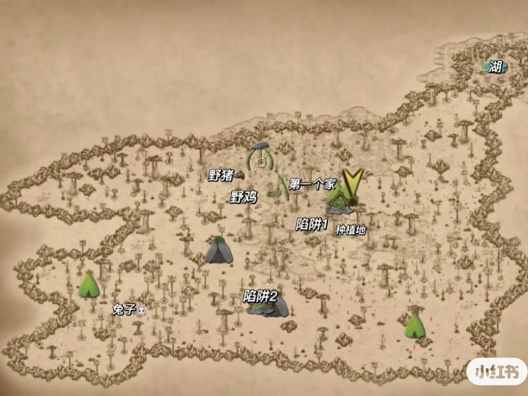 挨饿荒野 非洲平原攻略 地图 快点来小鱼的荒野聚餐吧,吃不完了这些肉