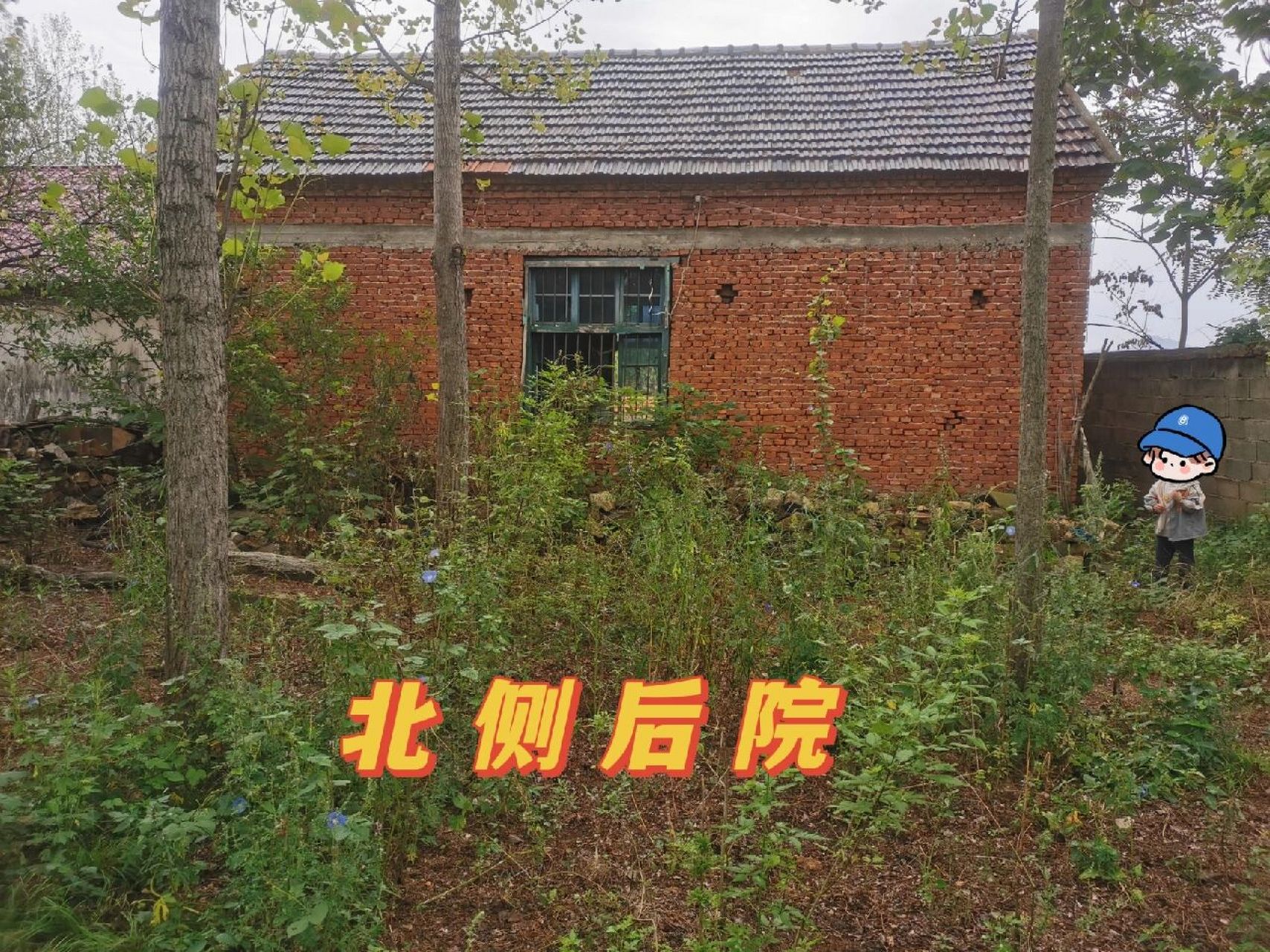 农村三间平方怎么改呀 老家一处闲置老房子,不动整体框架的情况下怎么