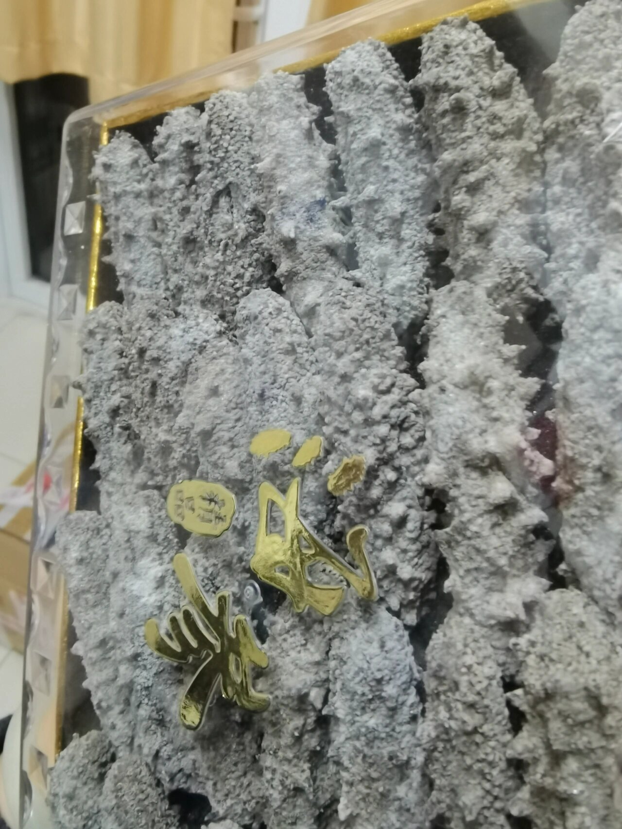 求助,海参发霉了吗 求助求助,海参忘记吃了现在表面发白好像有长毛