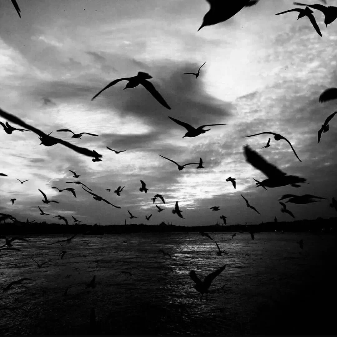 黑白系丨ins风丨背景图