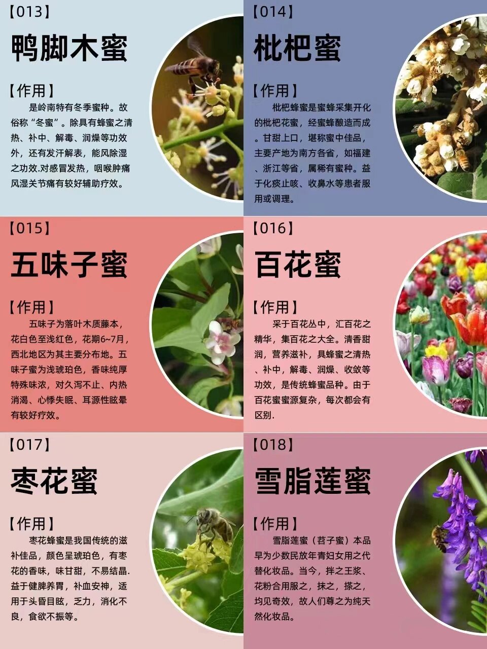 蜂蜜的功效与作用与主治(喝蜂蜜有啥好处和功效)
